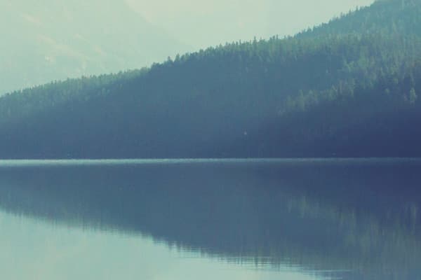 The Future of AI in Everyday Life